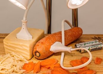 Premio per giovani imprenditori sociali