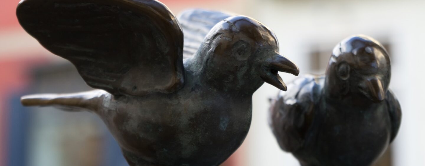 Il tuo progetto per la democrazia e la partecipazione attiva