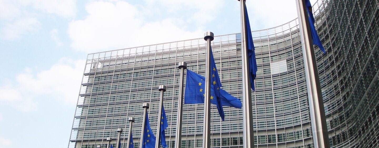 Blue book: i tirocini della Commissione europea
