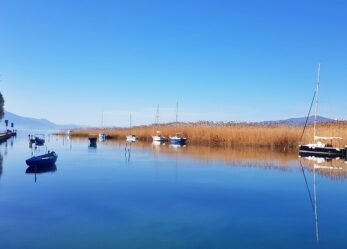 Tirocinio alla Delegazione UE in Macedonia del Nord