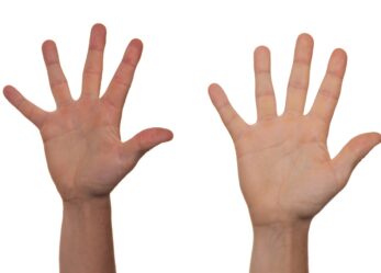 Anche tu a Barcellona per la democrazia