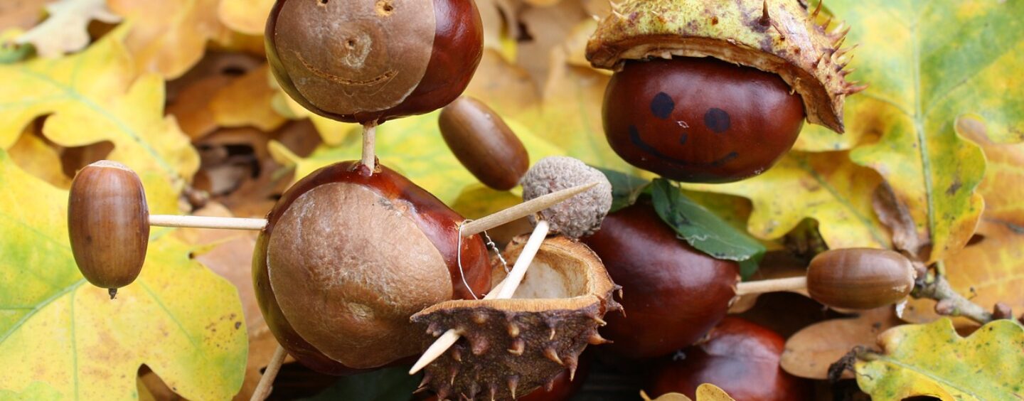 Corpo eurpeo di solidarietà in Ungheria