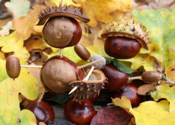 Corpo eurpeo di solidarietà in Ungheria