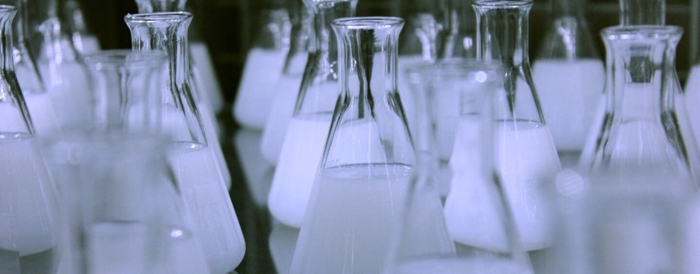 Tirocinio presso l’Agenzia europea per le sostanze chimiche di Helsinki