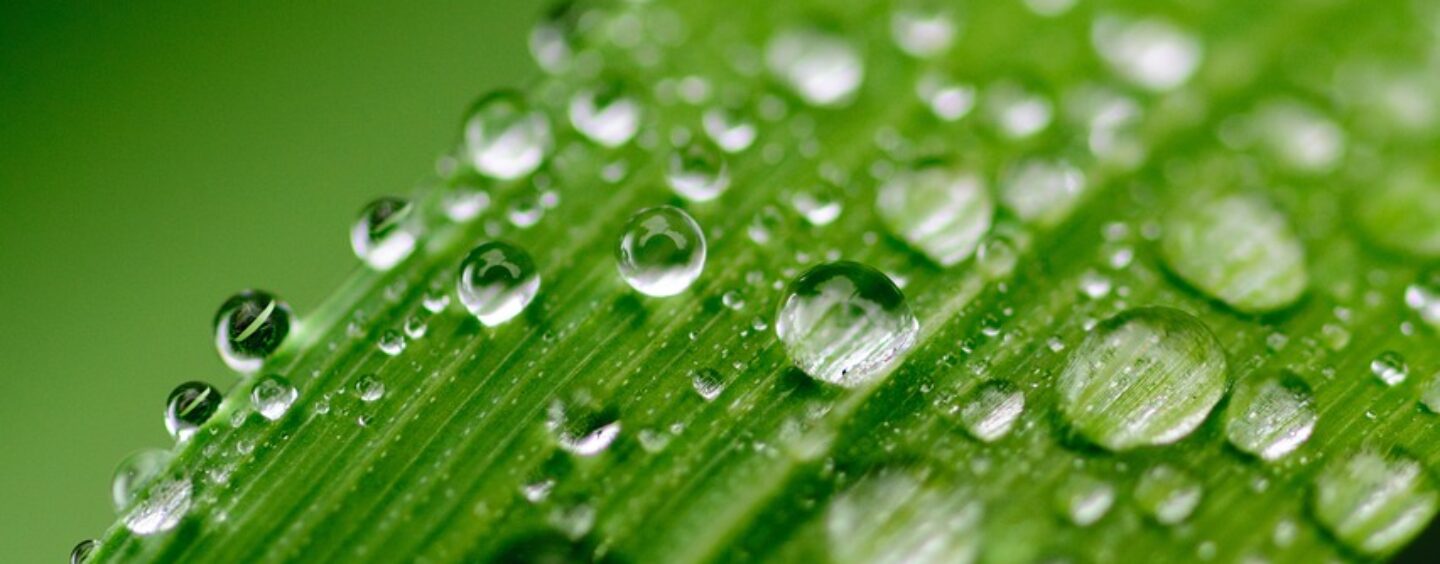 Lavora part-time per l’ambiente