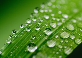 Lavora part-time per l’ambiente