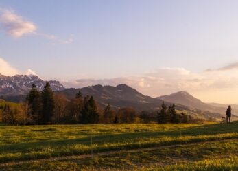 Tirocinio a Bonn per un’energia pulita
