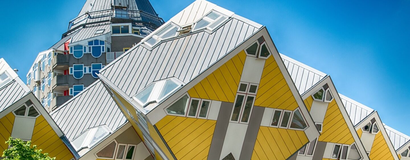 Volontariato a Rotterdam nei Paesi Bassi