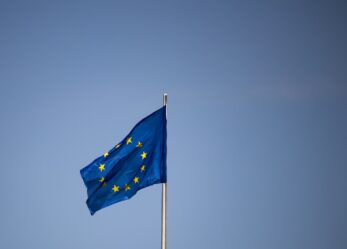 Se fossi tu il presidente del Parlamento europeo…