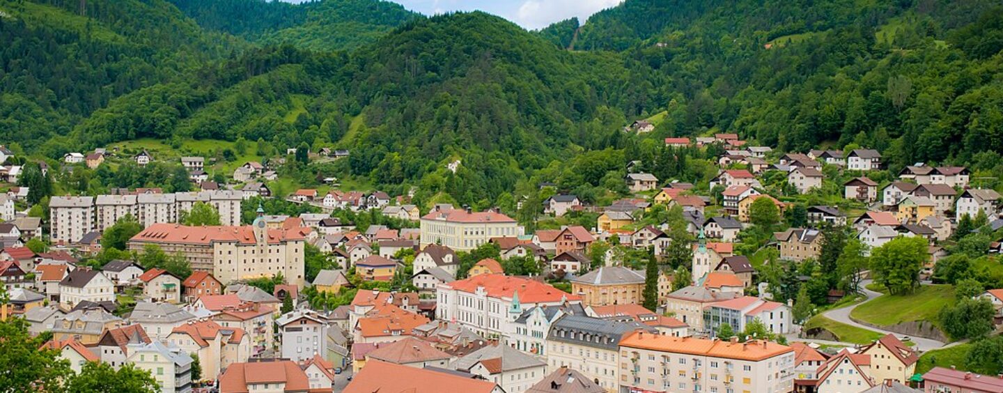 Volontariato in Slovenia