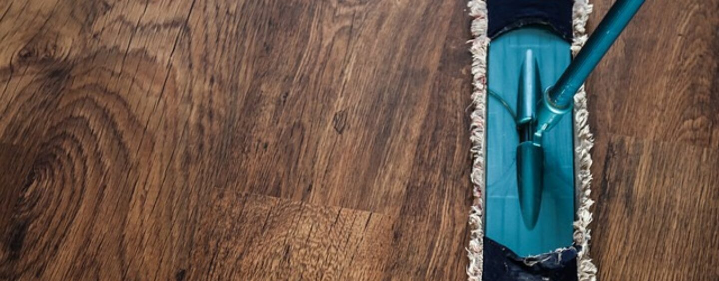 Corso gratuito: lavorare nei servizi per l’ambiente