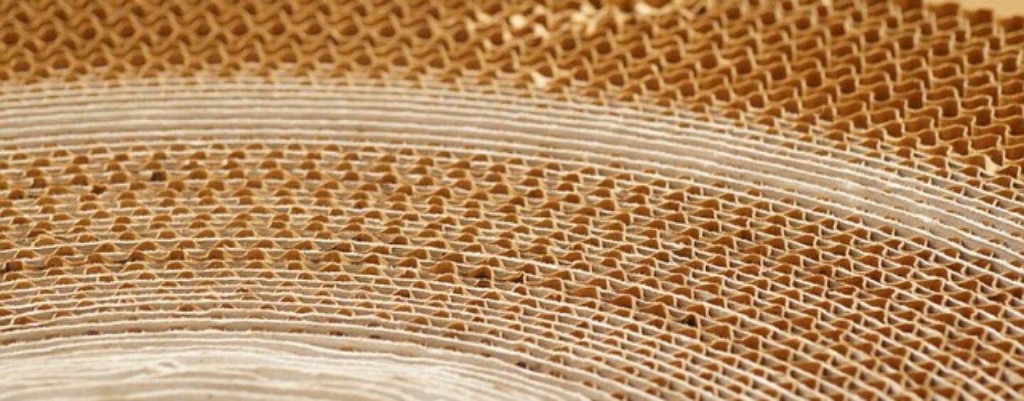 Inventa una scatola di cartone mai vista