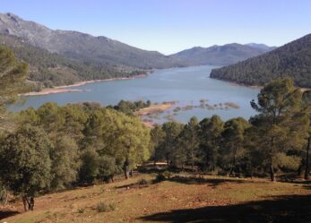 In Andalusia per partecipare al cambiamento