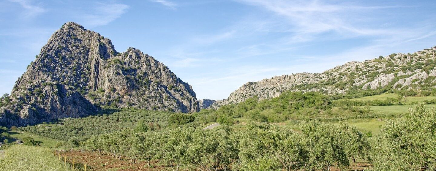 Young wild and free: scambio giovanile in Spagna