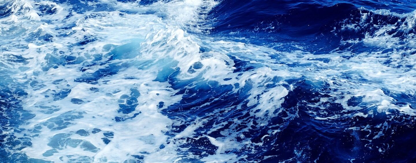 Proteggi gli oceani con l’arte