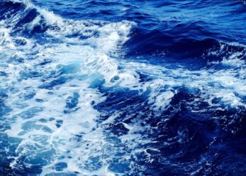 Proteggi gli oceani con l’arte