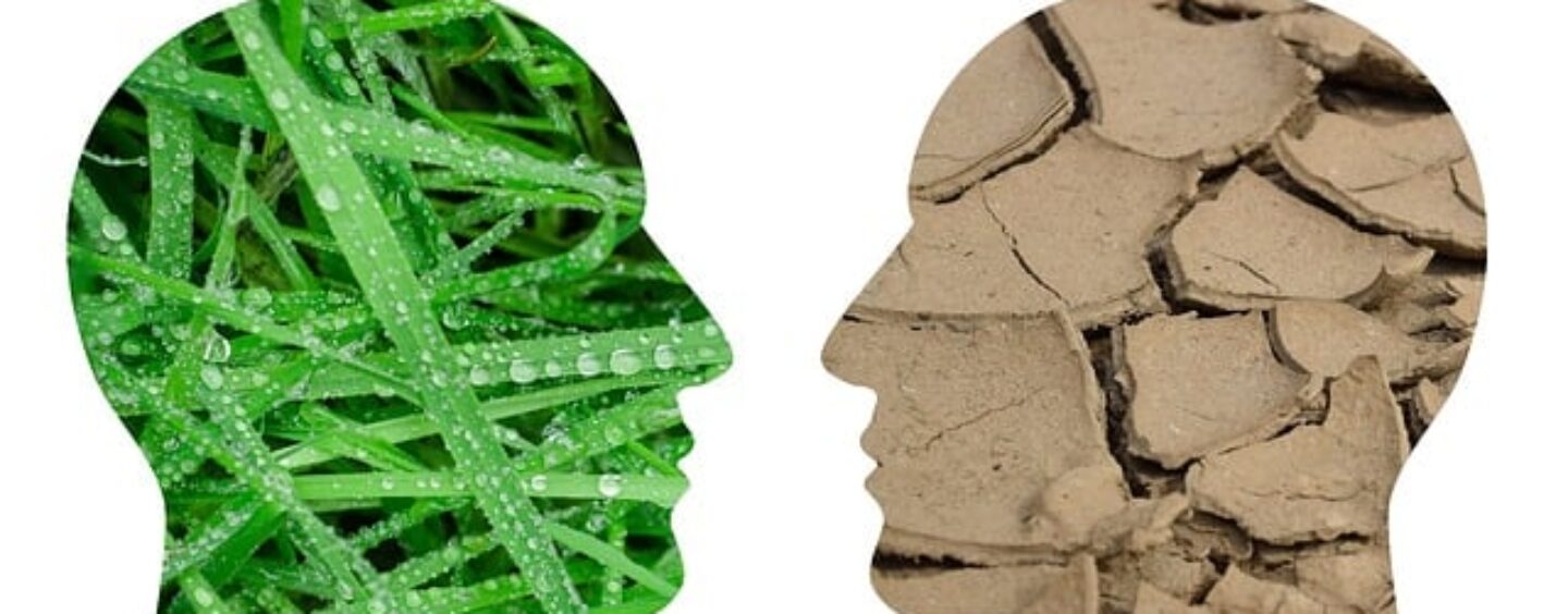 Brescia e il clima che cambia! dicci la tua con un questionario