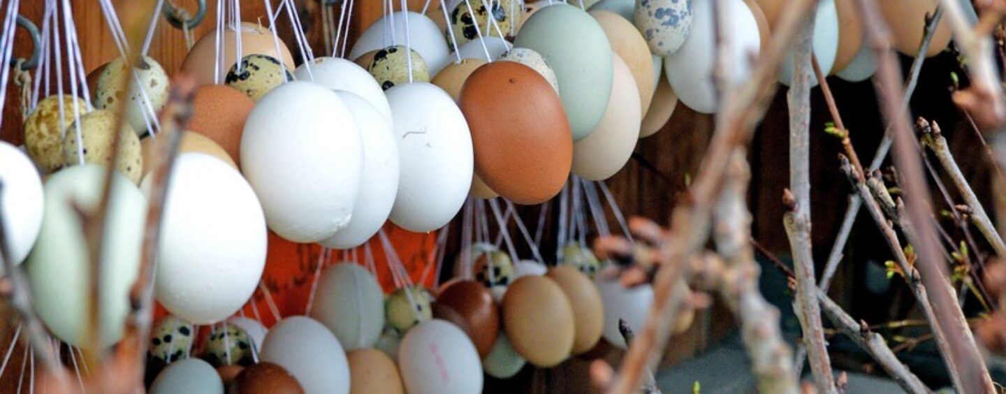 Comunicazione e marketing per una fattoria in Svizzera