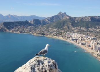 Tirocini a Alicante, Bruxelles e Lussemburgo per laureati