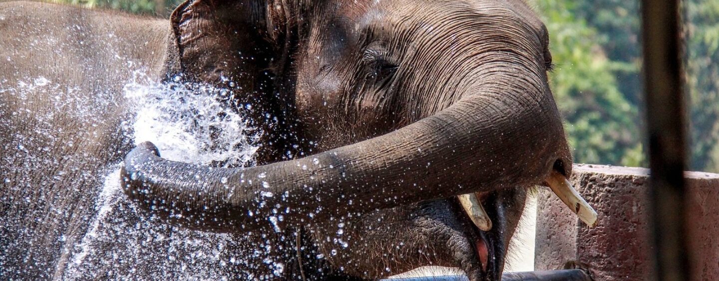 Scopri la Tailandia e racconta il tuo viaggio