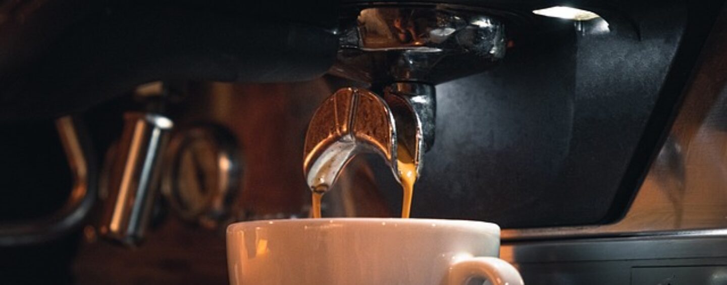 Due profili per azienda di elettrodomestici e casalinghi