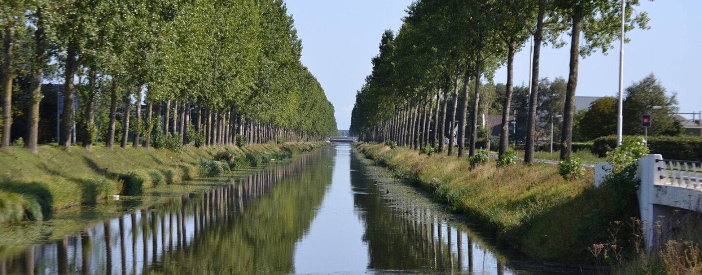 Tirocinio nei Paesi Bassi