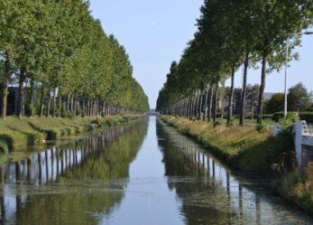 Tirocinio nei Paesi Bassi