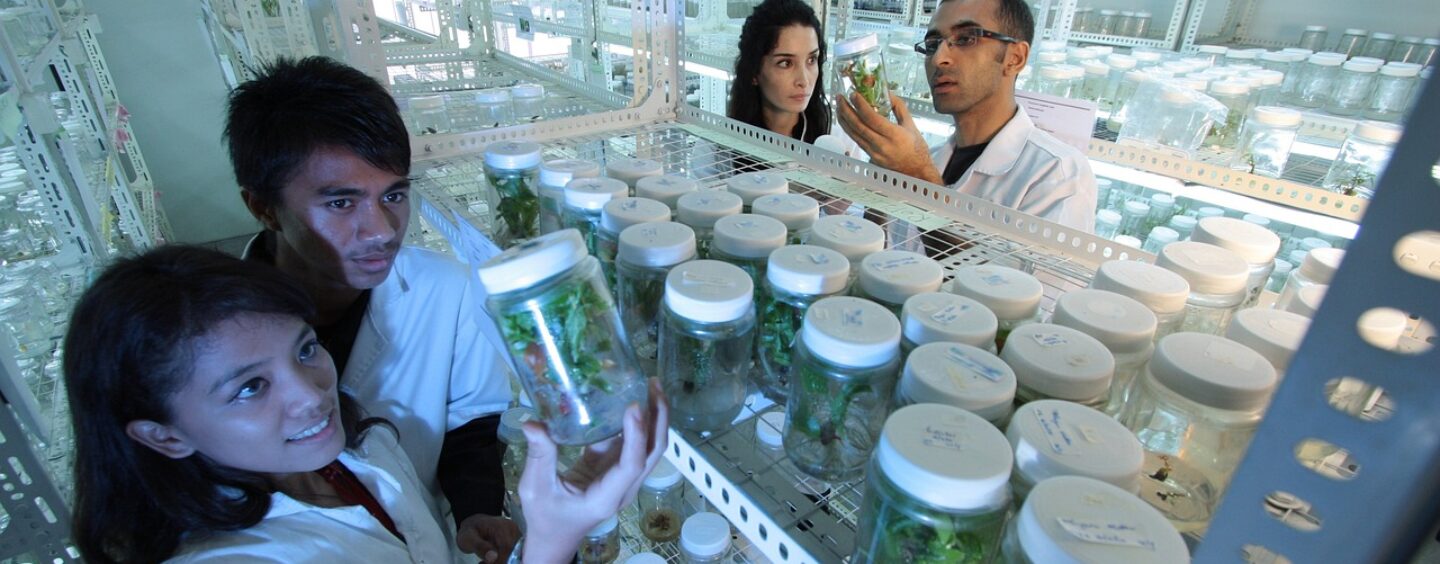 Tirocinio in Danimarca