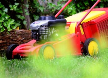 Corso gratuito per addetto al verde