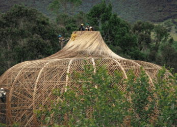 Vola a New York con il tuo progetto per l’ambiente