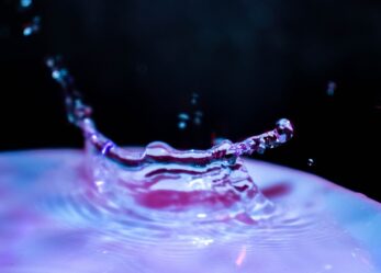 Tesi sulla sostenibilità: 10 premi