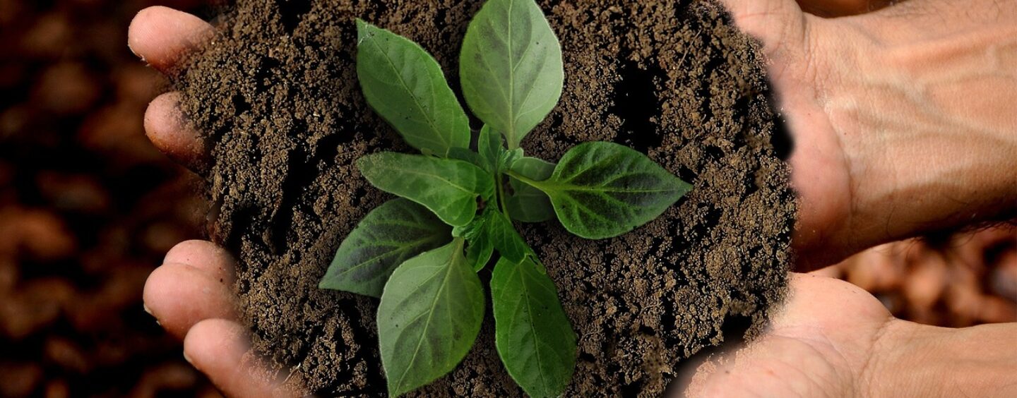 Borsa di studio per il tuo progetto sostenibile