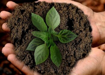 Borsa di studio per il tuo progetto sostenibile