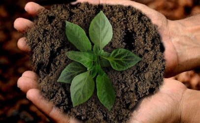 Borsa di studio per il tuo progetto sostenibile