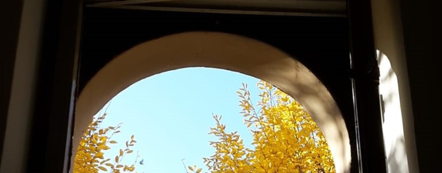 MiaFotoBio, concorso fotografico per studenti