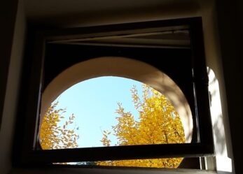 MiaFotoBio, concorso fotografico per studenti