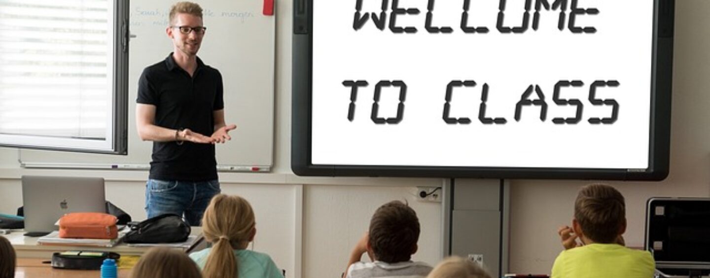 Docente di scuola primaria