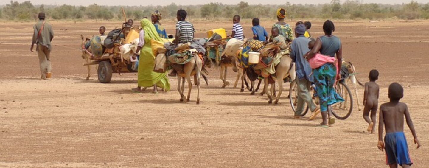 Concorso DiMMi, diari multimediali migranti