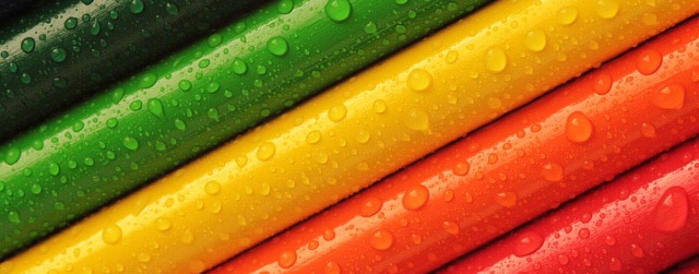 Contest fotografico “Sguardi in trans-formazione: celebra la libertà”