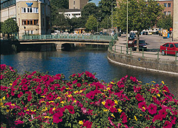 Volontariato in Svezia con ESC