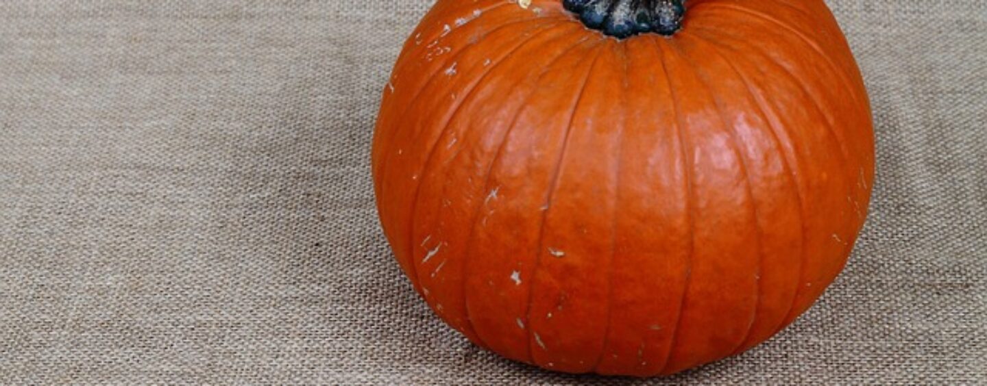 Inglese base: corso gratuito