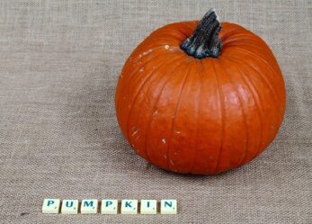 Inglese base: corso gratuito