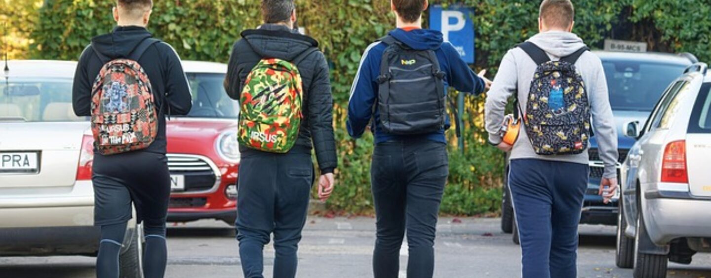 Volontariato in Francia